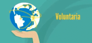 para solicitar excedencia voluntaria